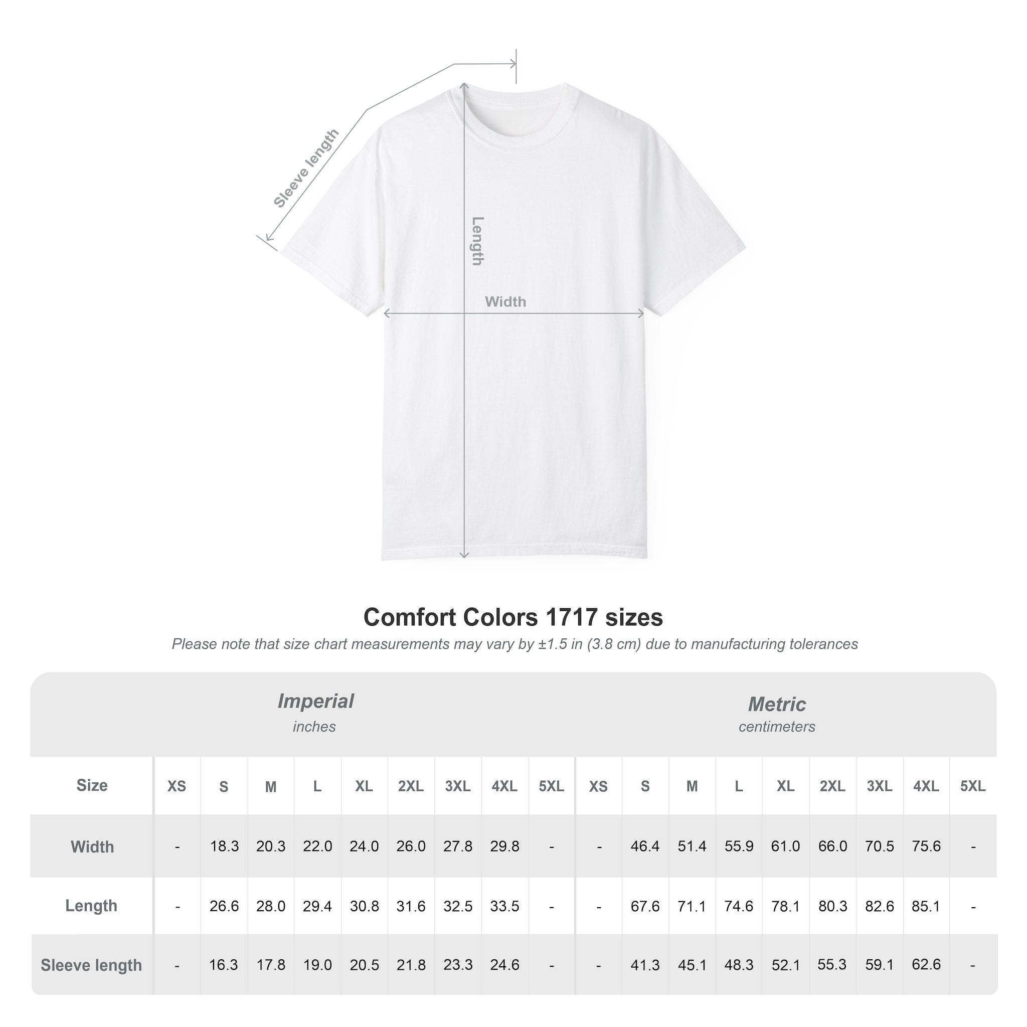 "In This Economy?" Tee — Garment-Dyed Heavyweight Cotton